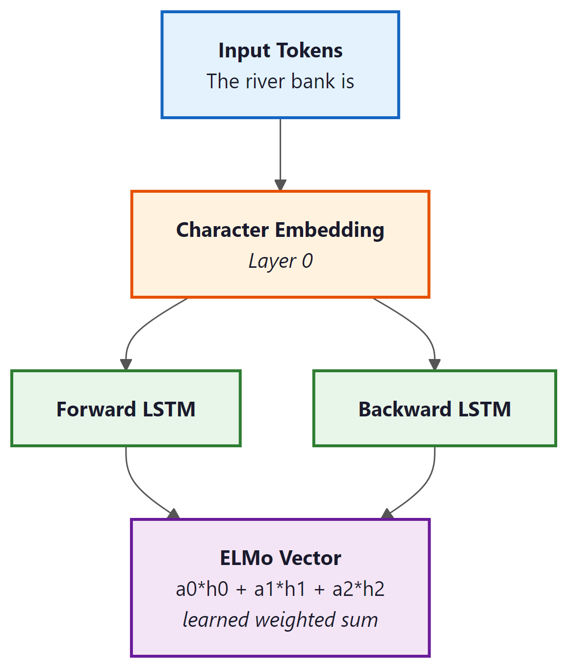 ELMo computation graph: tokens through character embeddings and bidirectional LSTMs