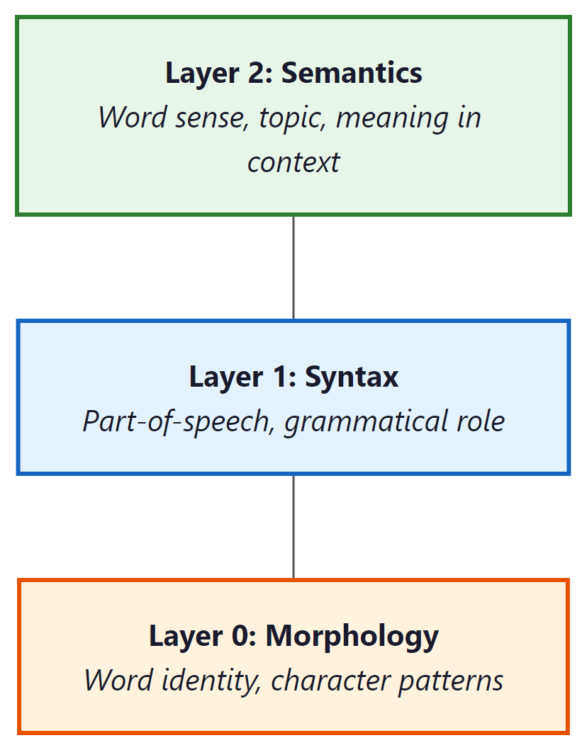 Information hierarchy across ELMo layers from morphology to semantics